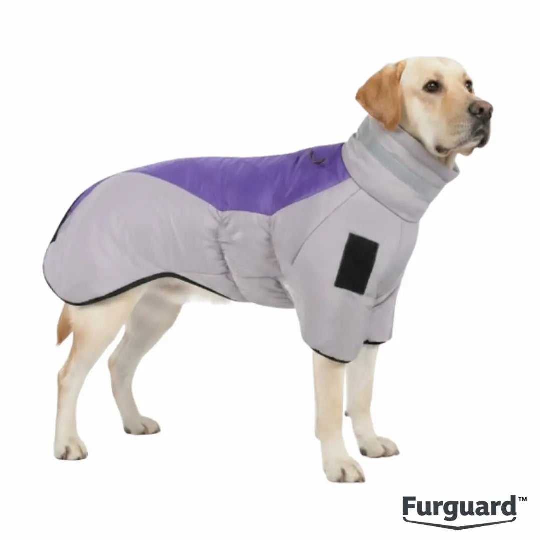 FurGuard™ Winter Dog Vest CJ