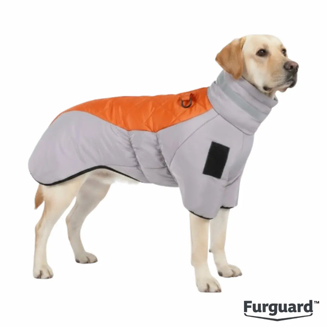 FurGuard™ Winter Dog Vest CJ