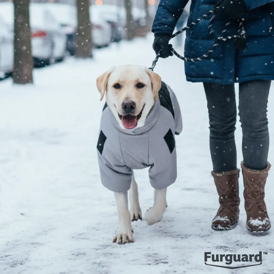 FurGuard™ Winter Dog Vest CJ